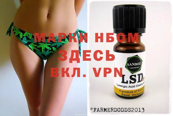ешки Бородино