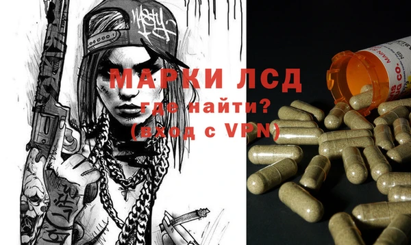 ешки Бородино