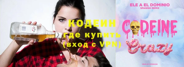 ешки Бородино