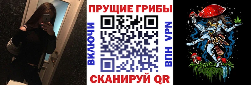купить наркоту Верхний Уфалей Псилоцибиновые грибы Magic Shrooms